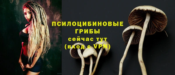 синтетический гашиш Ельня
