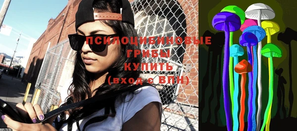 прущие крисы Елизово