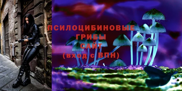 прущие крисы Елизово