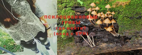 кокаин перу Елабуга