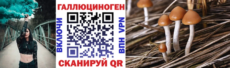 Купить где  Кораблино  Галлюциногенные грибы Magic Shrooms 