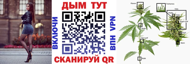 Конопля тримм  Купить где  Кораблино 
